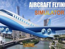 Aircraft Flying Simulator