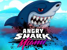 Angry Shark Miami