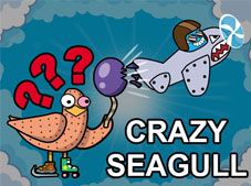 Crazy Seagull