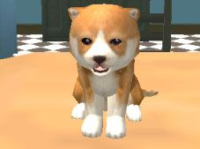 Dog Simulator Puppy Craft