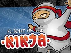 Flight Of The Ninja