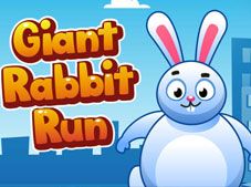 Giant Rabbit Run