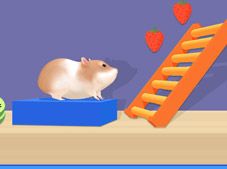 Hamster Maze Online