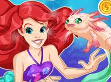 Mermaid Pet Shop