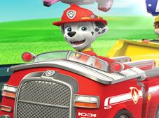 Paw Patrol Academy