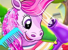 Pony Pet Salon