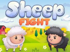 Sheep Fight